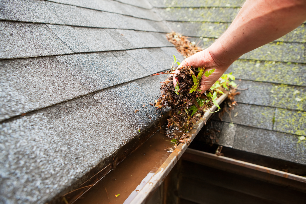 How Often Should You Clean Your Gutters in Memphis and the Mid-South?